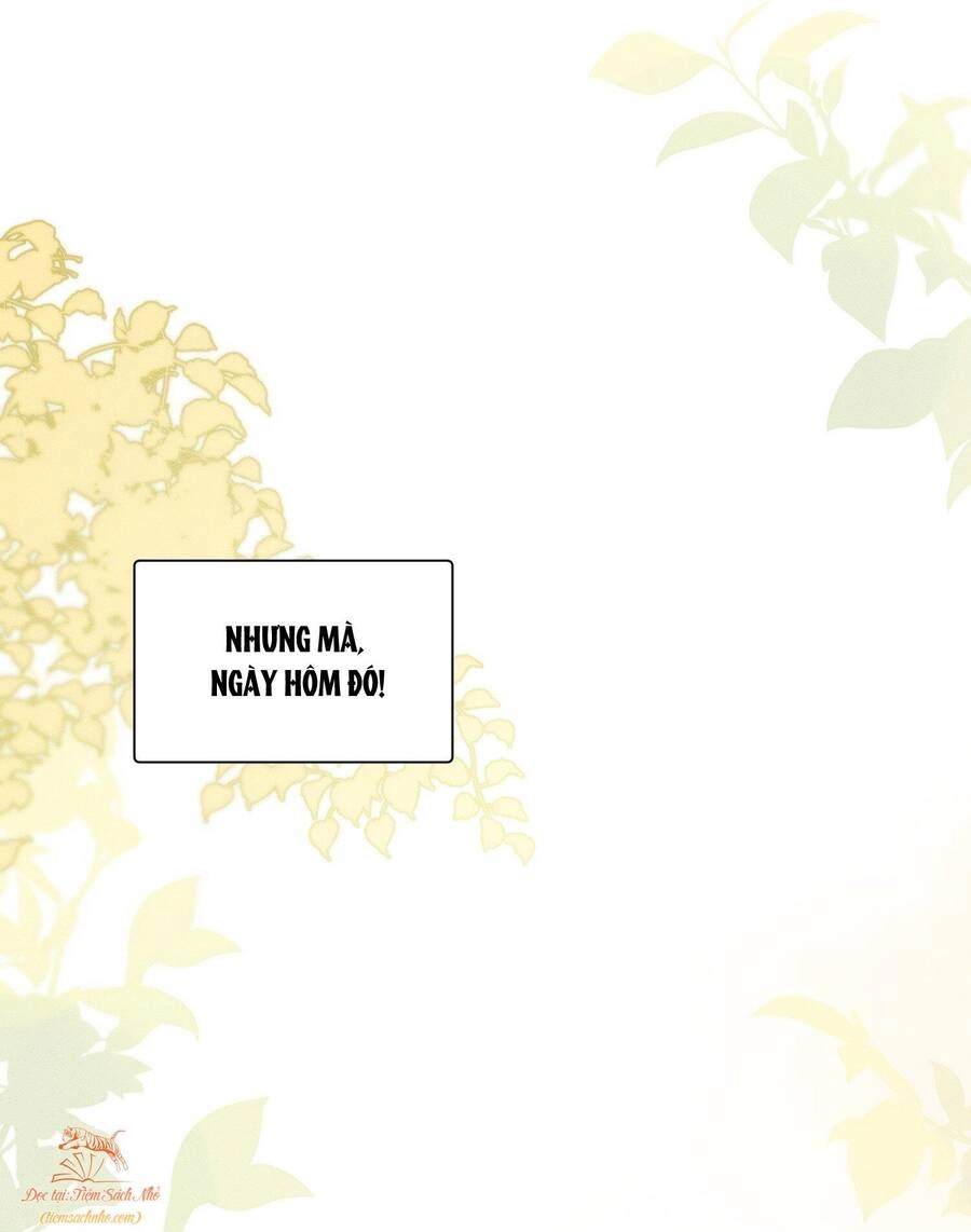 Mười Năm Sau, Tôi Kết Hôn Với Kẻ Không Đội Trời Chung Của Mình?! Chapter 1 - 22