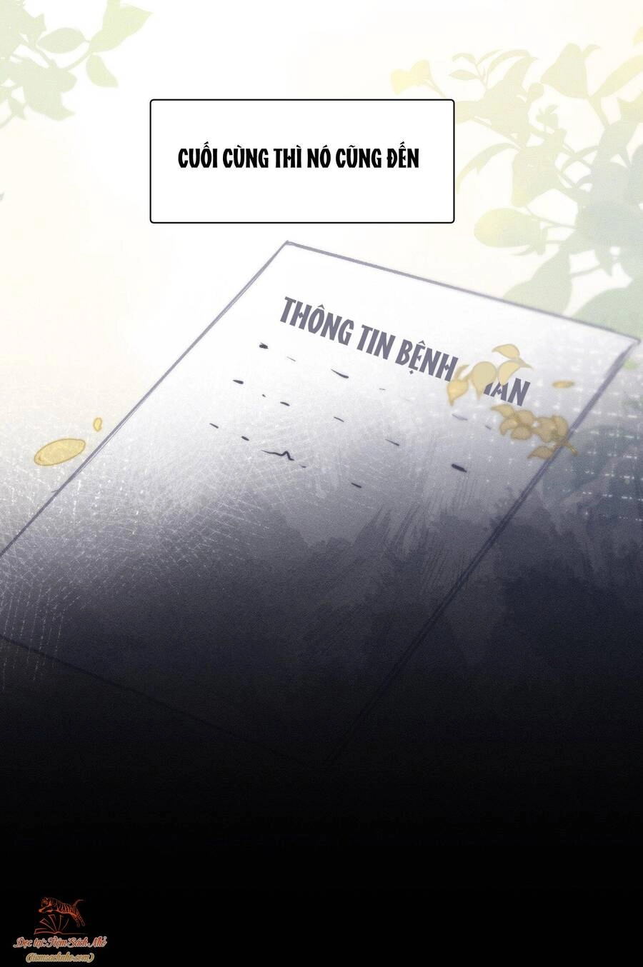 Mười Năm Sau, Tôi Kết Hôn Với Kẻ Không Đội Trời Chung Của Mình?! Chapter 1 - 23