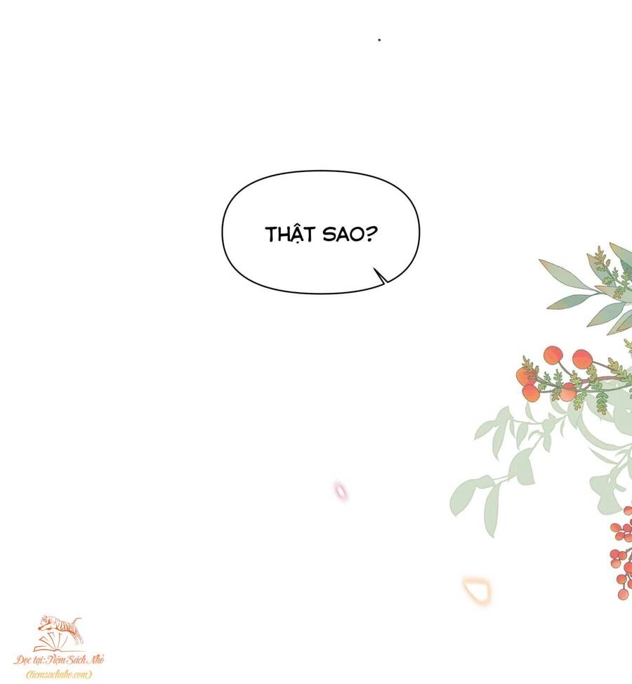 Mười Năm Sau, Tôi Kết Hôn Với Kẻ Không Đội Trời Chung Của Mình?! Chapter 5 - 28