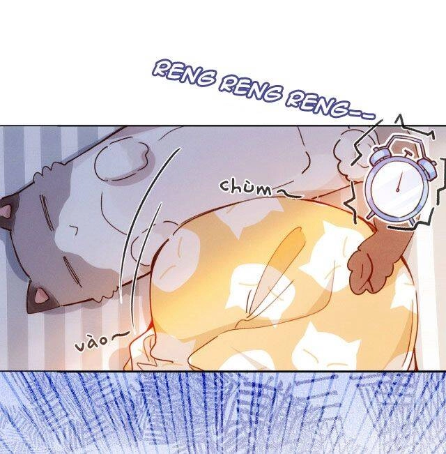 Mười Năm Sau, Tôi Kết Hôn Với Kẻ Không Đội Trời Chung Của Mình?! Chapter 11 - 5