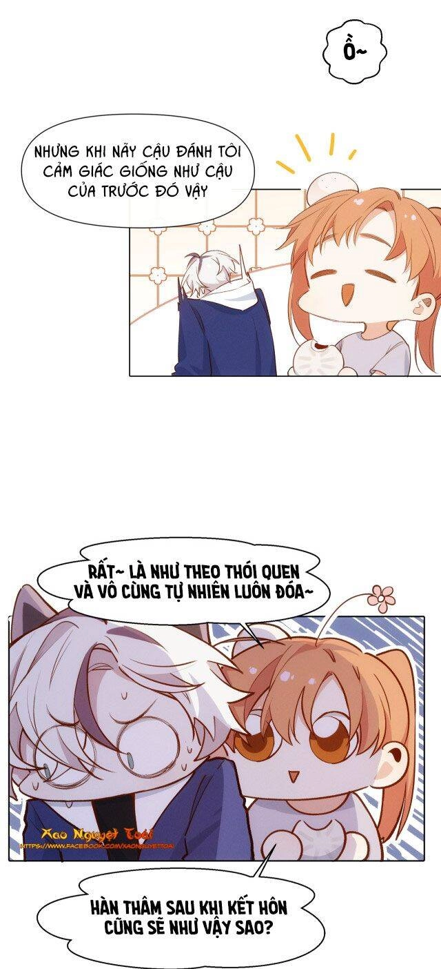 Mười Năm Sau, Tôi Kết Hôn Với Kẻ Không Đội Trời Chung Của Mình?! Chapter 11 - 22