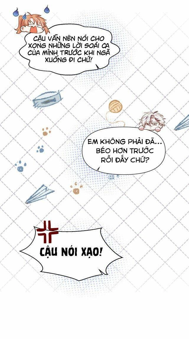 Mười Năm Sau, Tôi Kết Hôn Với Kẻ Không Đội Trời Chung Của Mình?! Chapter 24 - 24