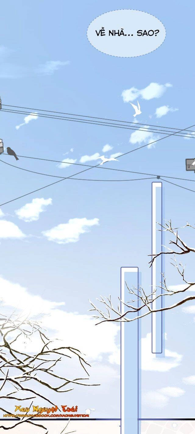 Mười Năm Sau, Tôi Kết Hôn Với Kẻ Không Đội Trời Chung Của Mình?! Chapter 32 - 5