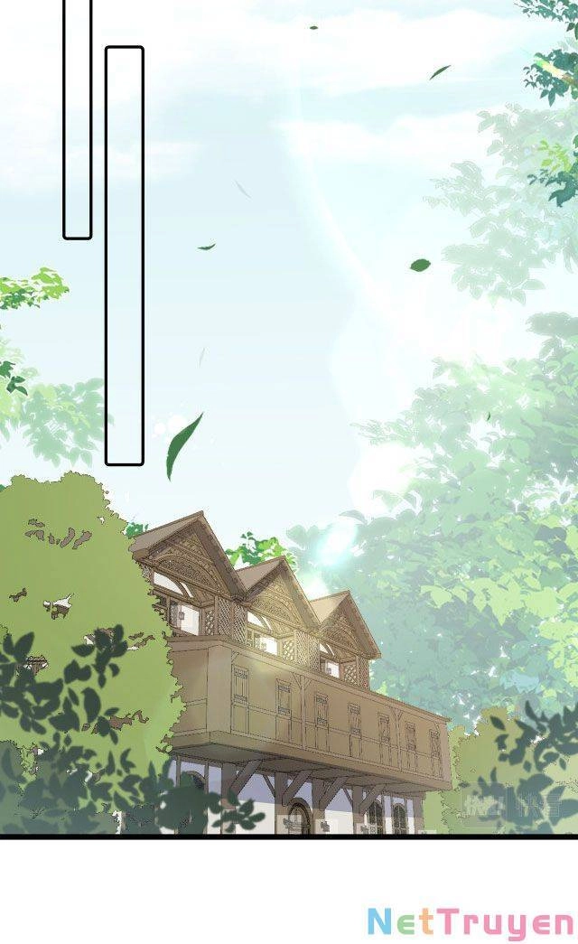 Mười Năm Sau, Tôi Kết Hôn Với Kẻ Không Đội Trời Chung Của Mình?! Chapter 33 - 5