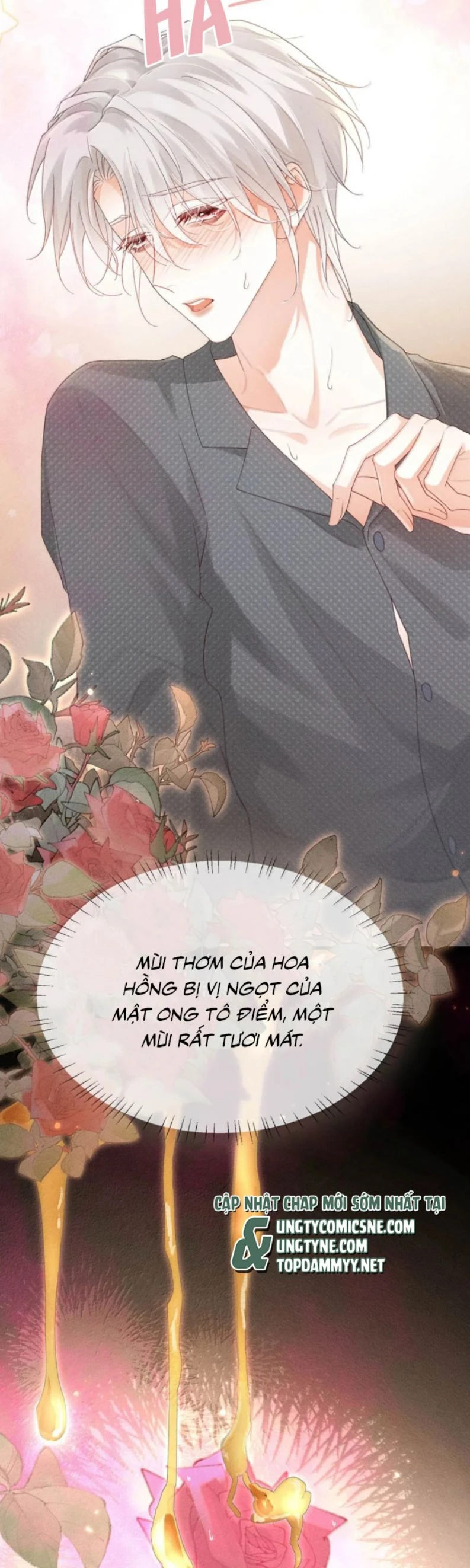 Pheromone Nồng Nàn Chapter 23 - 20