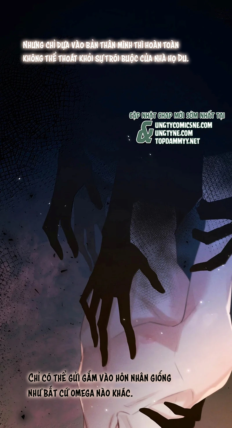 Pheromone Nồng Nàn Chapter 40 - 16