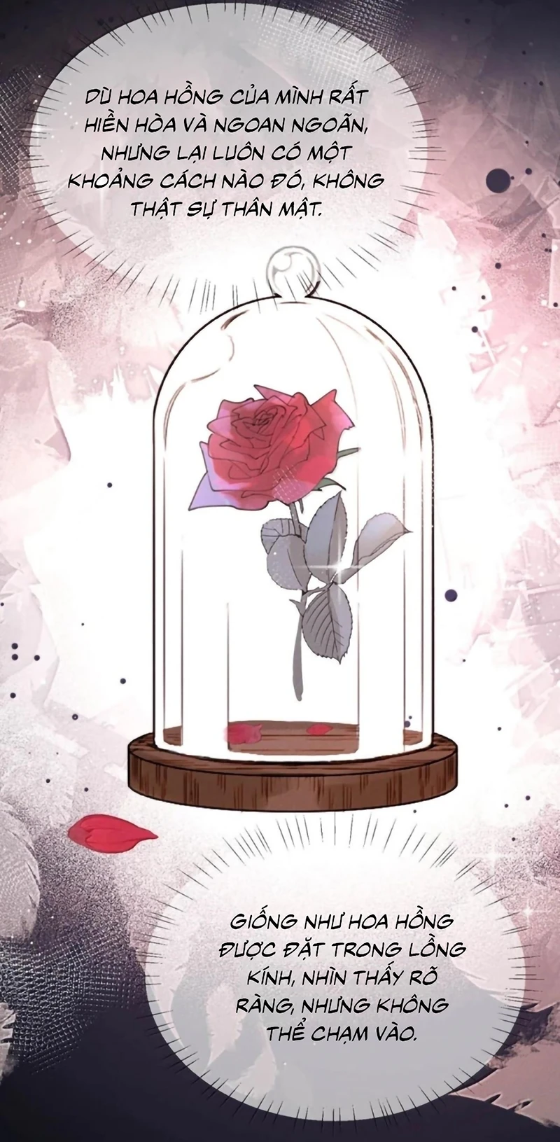 Pheromone Nồng Nàn Chapter 41 - 14