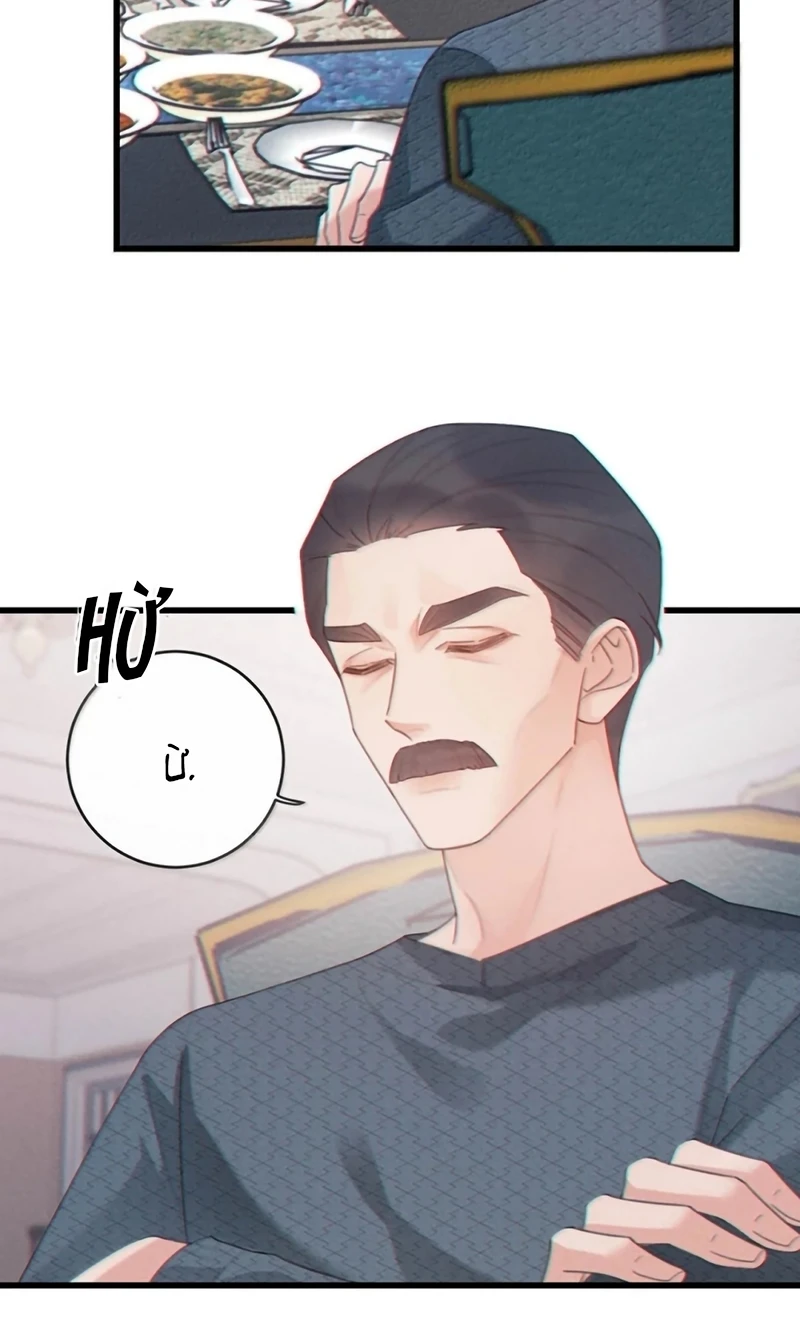 Pheromone Nồng Nàn Chapter 42 - 17