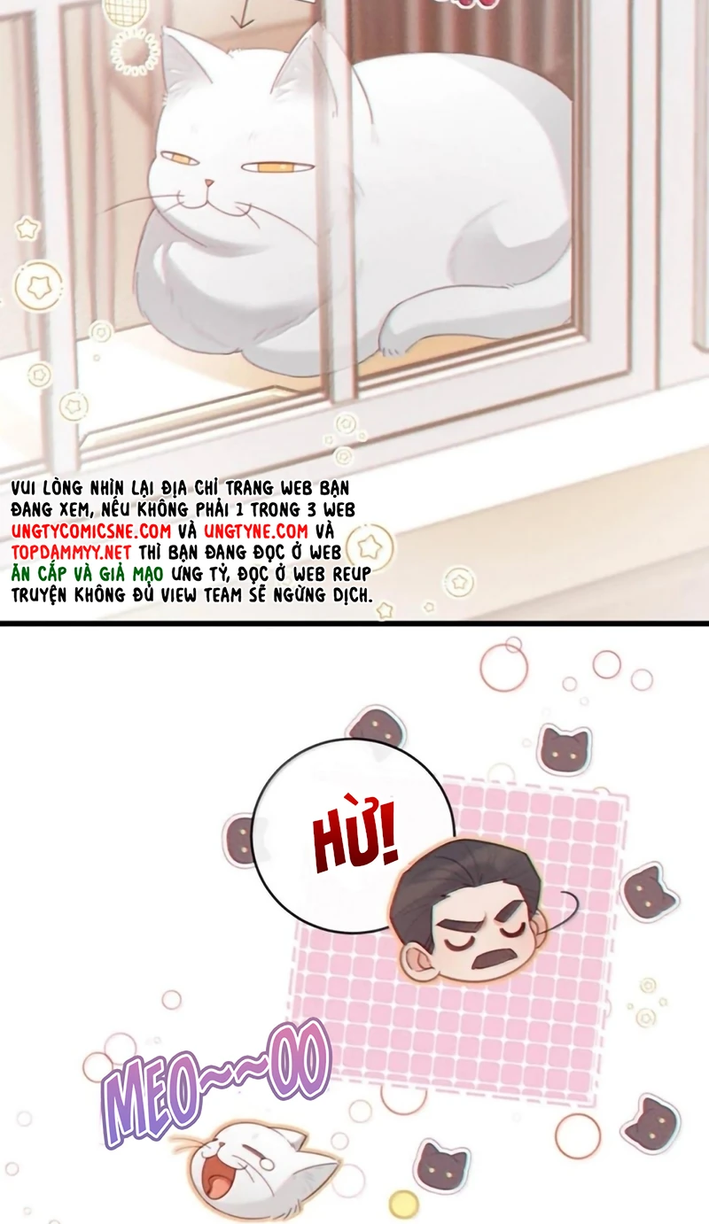 Pheromone Nồng Nàn Chapter 42 - 20