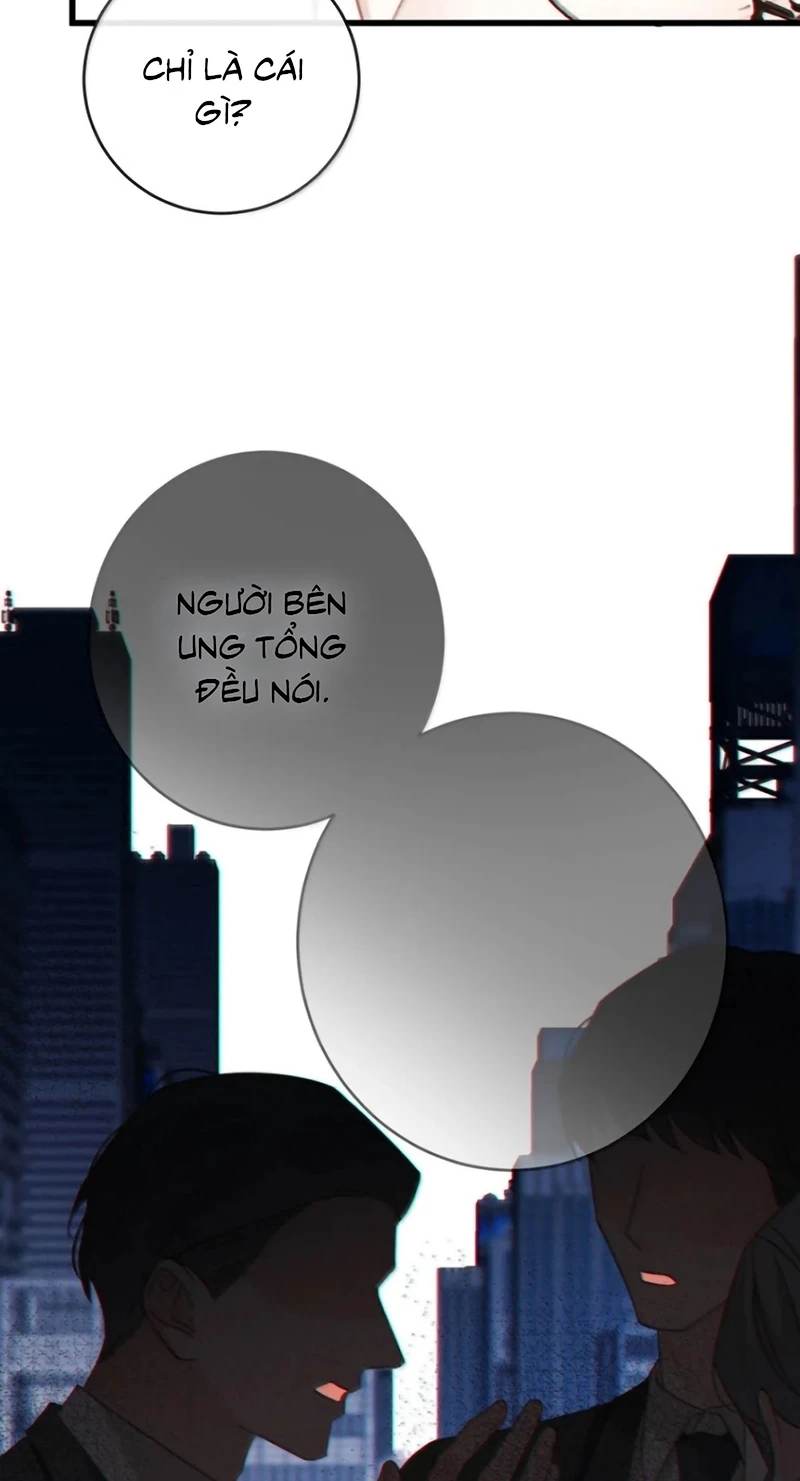 Pheromone Nồng Nàn Chapter 48 - 14