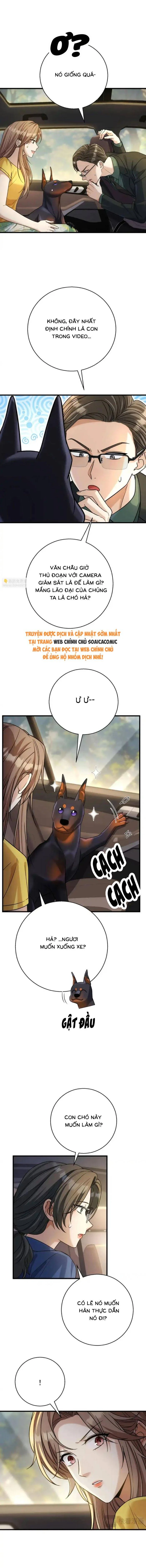 Tên Đàn Ông Này Thật Sự Là Một Tên Cẩu Mà Chapter 47 - 4