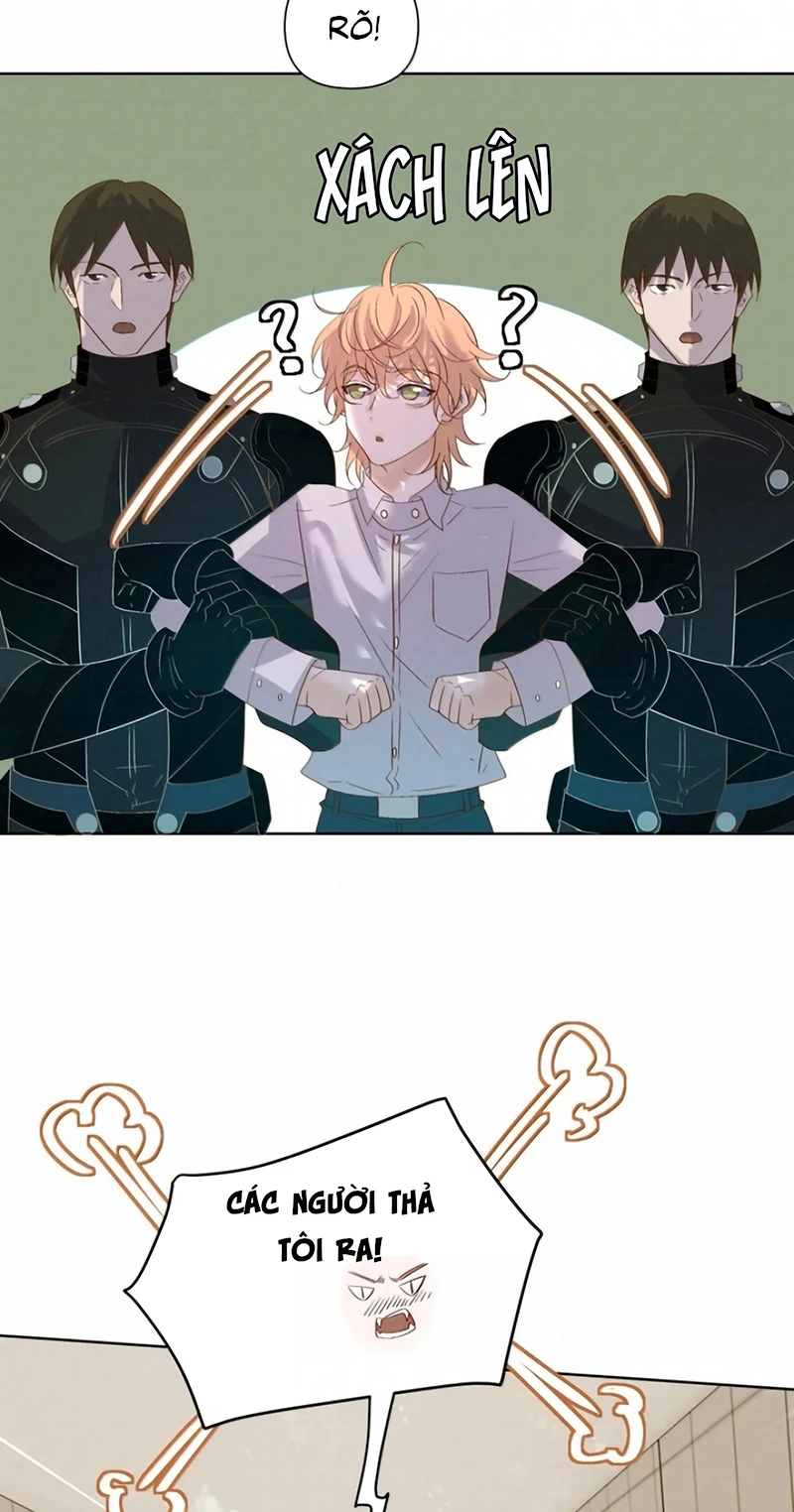 Tuyệt Xử Phùng Sinh Chapter 120 - 20