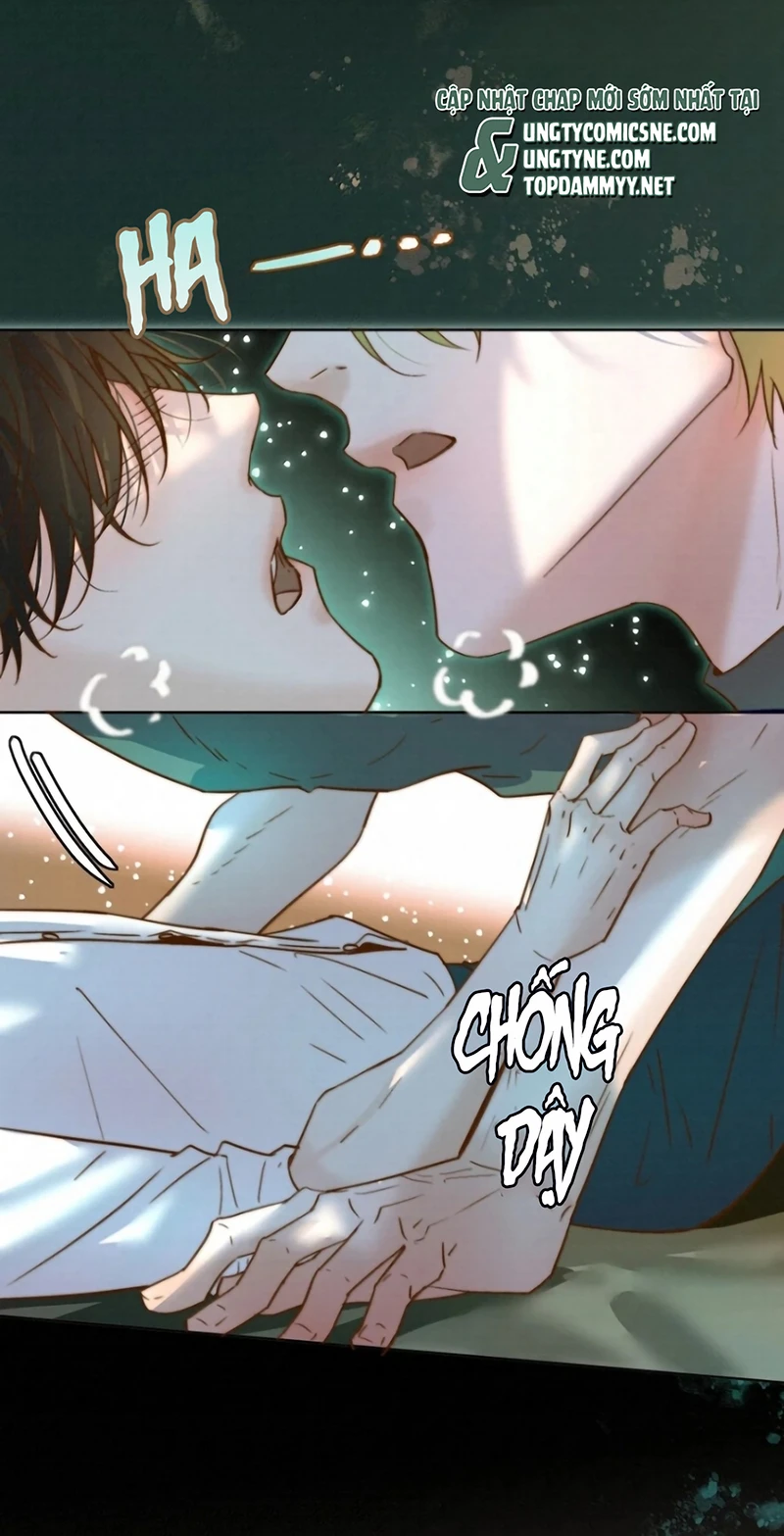 Tuyệt Xử Phùng Sinh Chapter 121 - 12