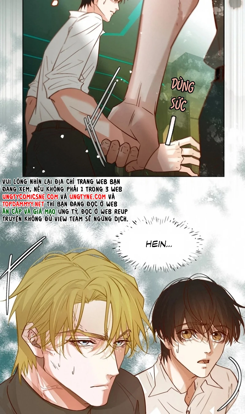 Tuyệt Xử Phùng Sinh Chapter 124 - 9