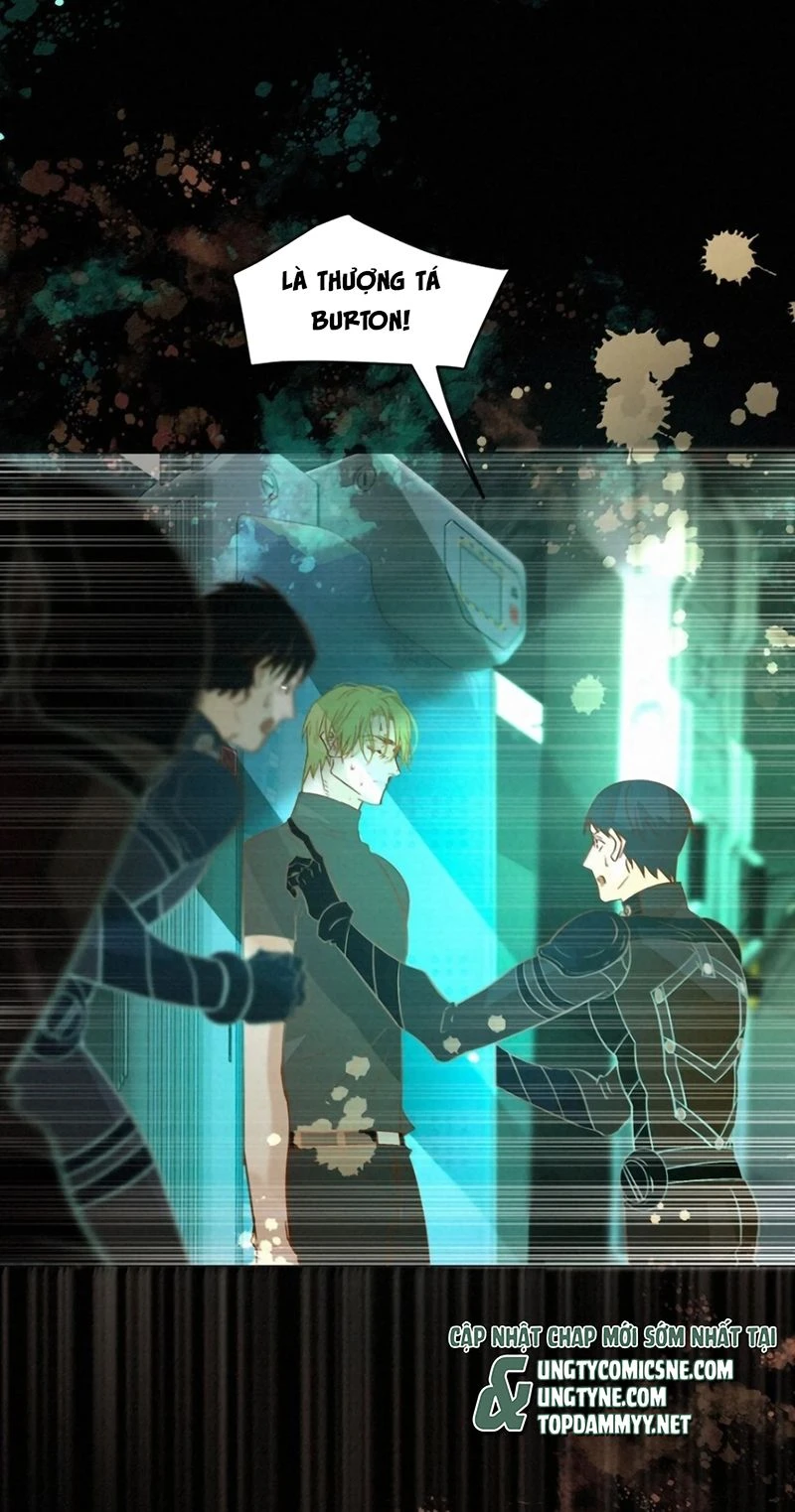 Tuyệt Xử Phùng Sinh Chapter 127 - 31