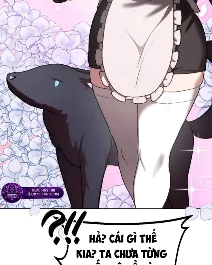 Có Lẽ Là Vô Địch Chapter 58 - 53