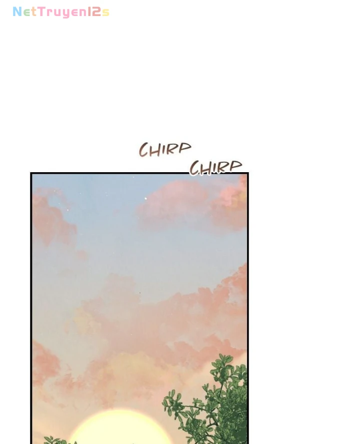 Có Lẽ Là Vô Địch Chapter 64 - 64