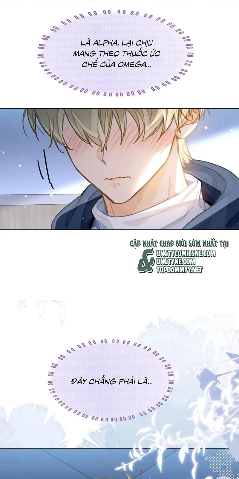 Tôi Thích Pheromone Của Cậu Chapter 90 - 33