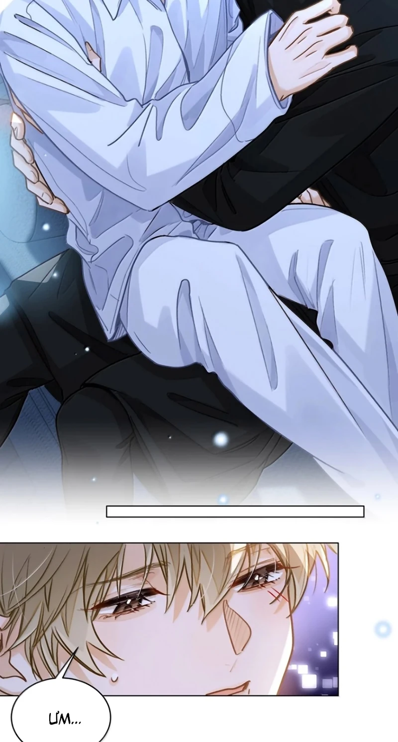 Tôi Thích Pheromone Của Cậu Chapter 97 - 6