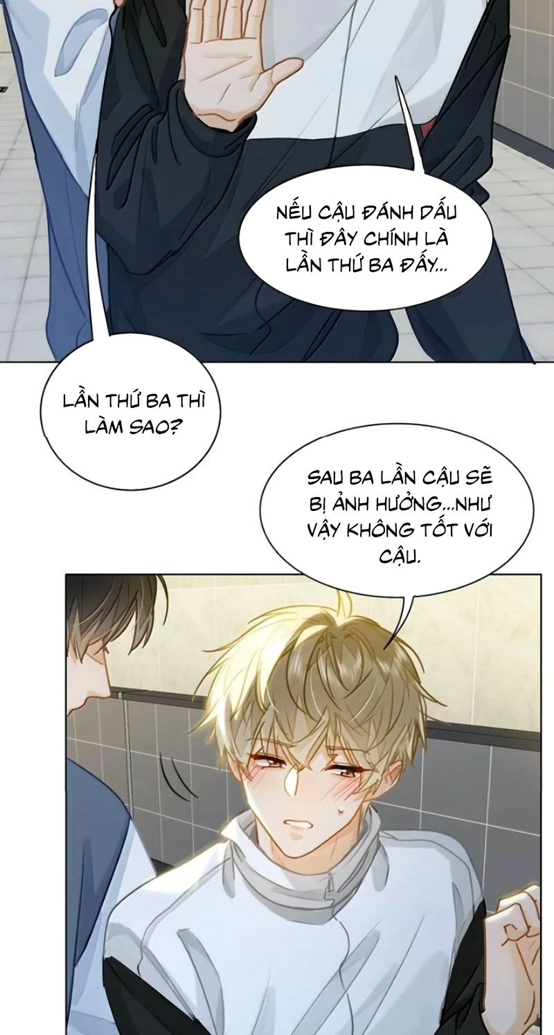 Tôi Thích Pheromone Của Cậu Chapter 101 - 33