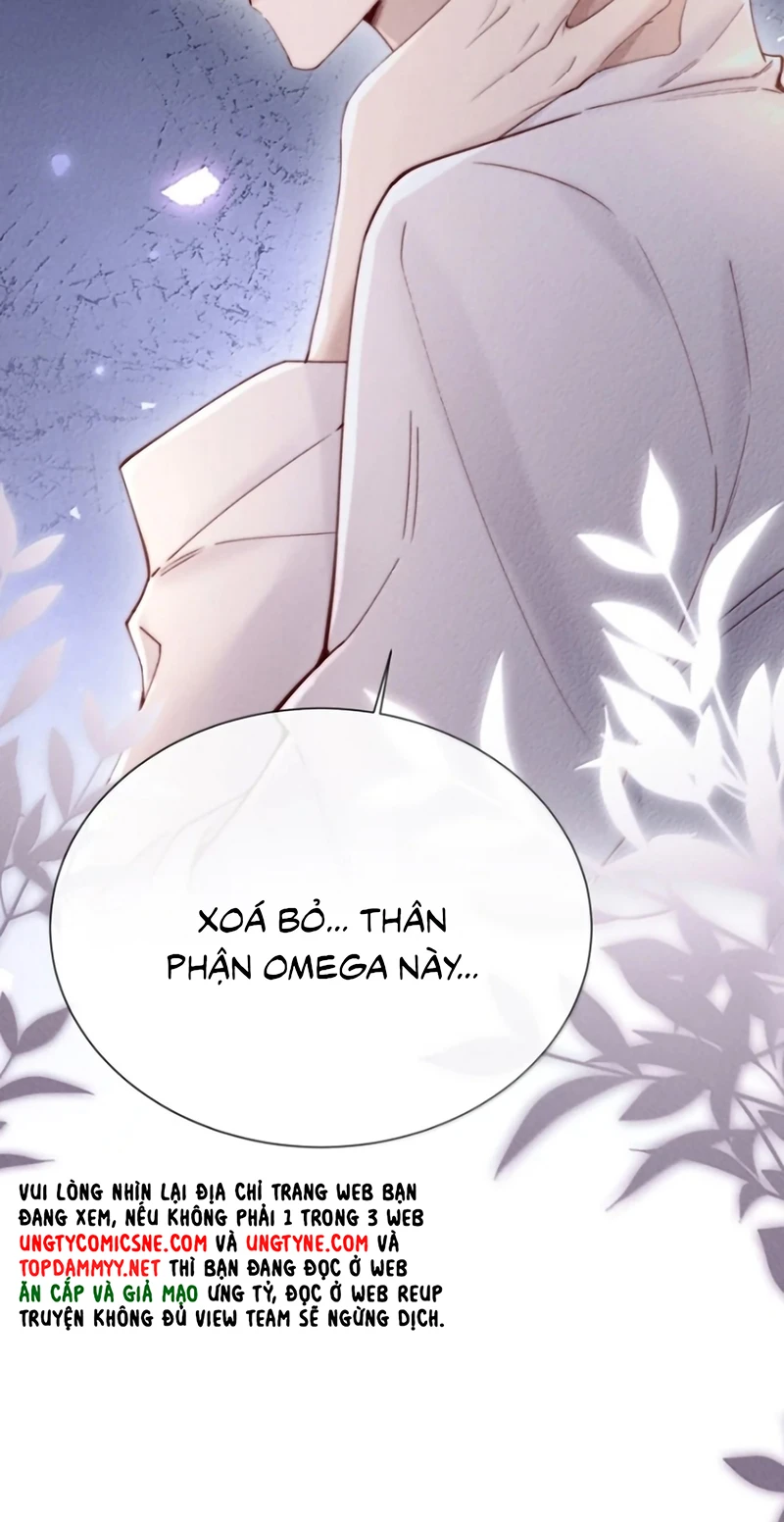 Kế Hoạch Tự Dưỡng Cuồng Khuyển Chapter 98 - 15