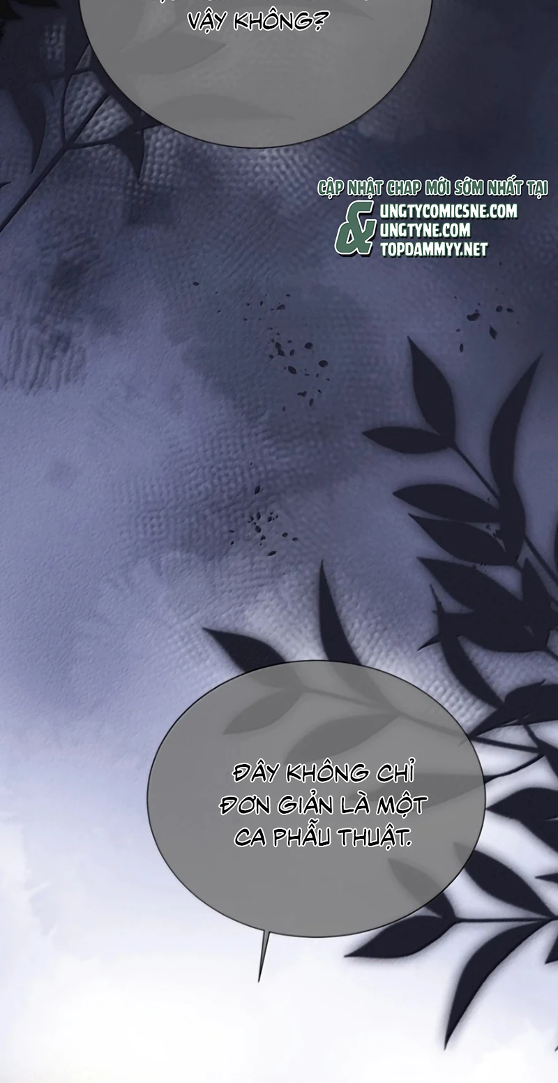 Kế Hoạch Tự Dưỡng Cuồng Khuyển Chapter 98 - 22