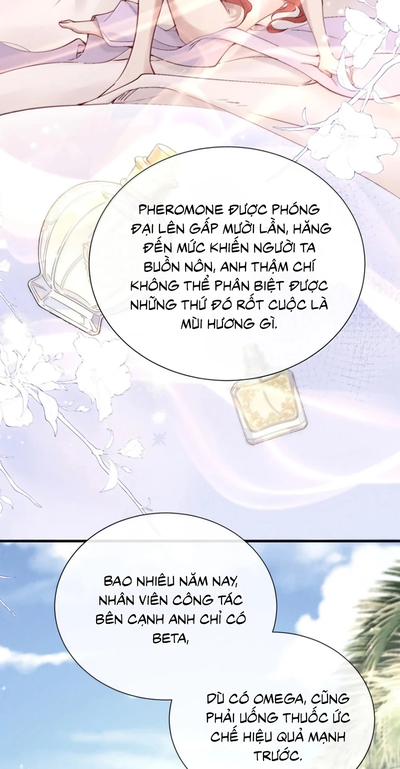 Kế Hoạch Tự Dưỡng Cuồng Khuyển Chapter 99 - 34