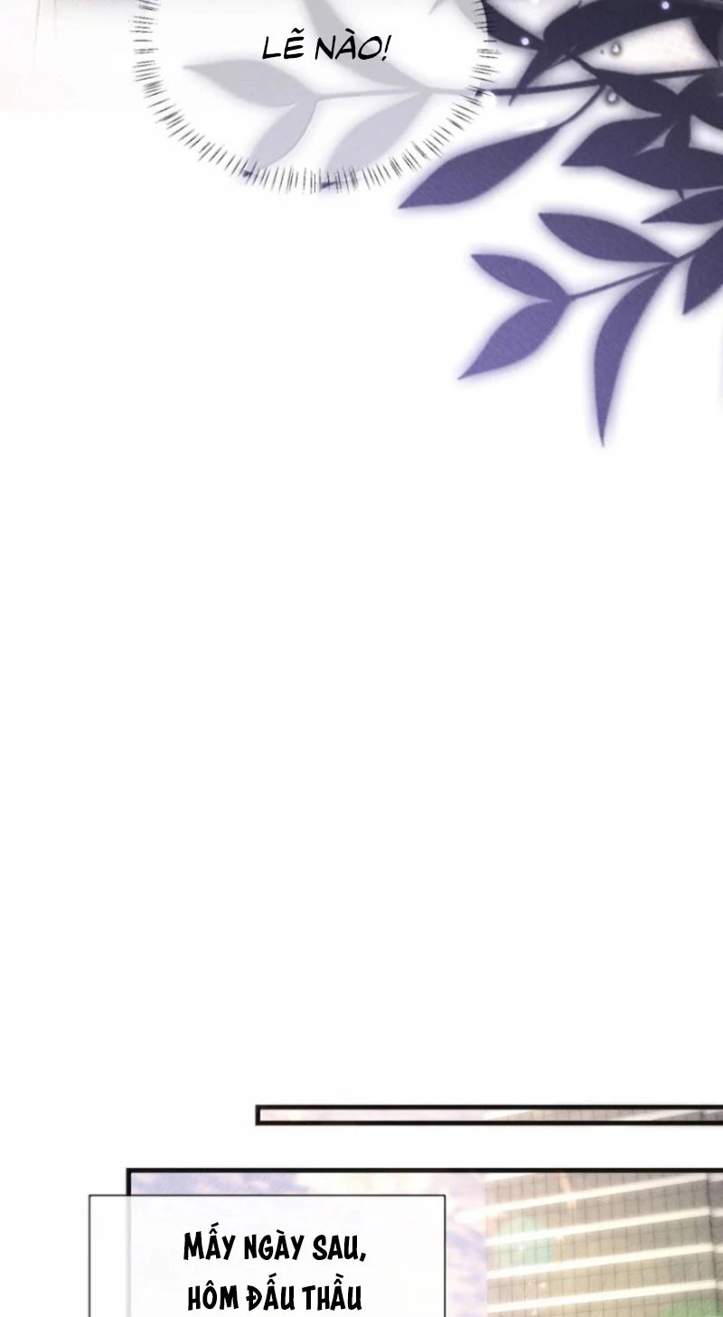 Kế Hoạch Tự Dưỡng Cuồng Khuyển Chapter 109 - 35