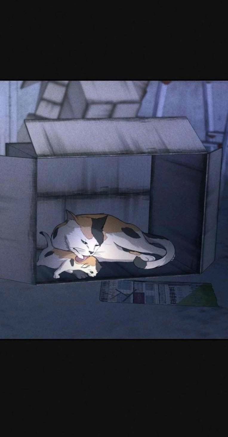 Phòng Kín Chapter 19 - 4