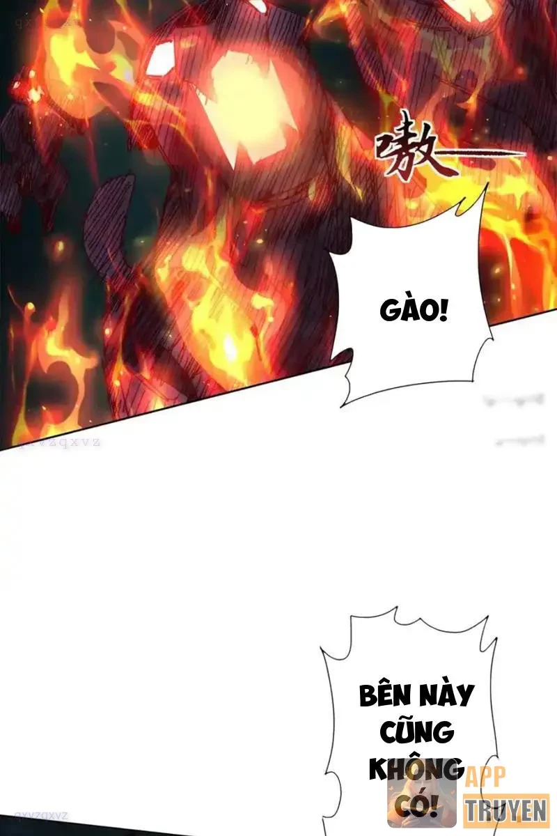 Sau Khi Sống Lại Ở Mạt Thế, Ta Điên Cuồng Thăng Cấp Chapter 72 - 25