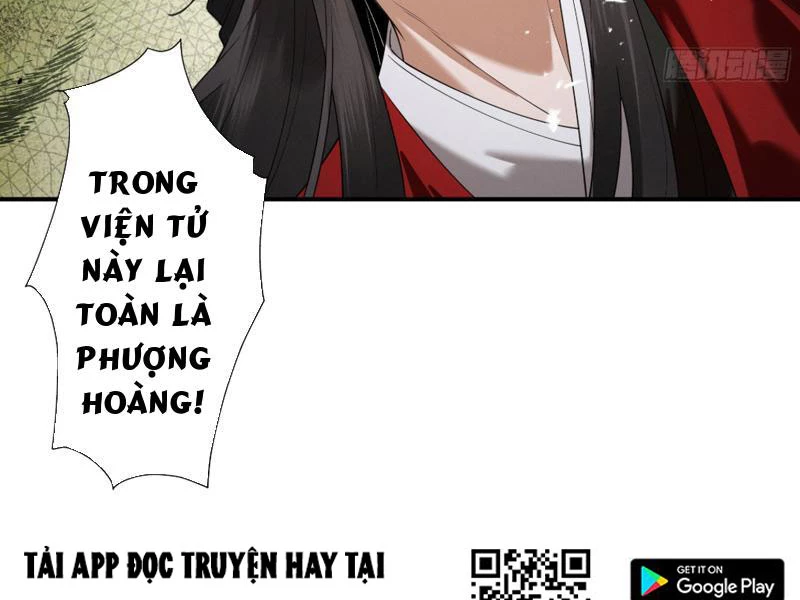 Gặp Mạnh Thì Mạnh, Ta Tu Vi Vô Thượng Hạn Chapter 89 - 114
