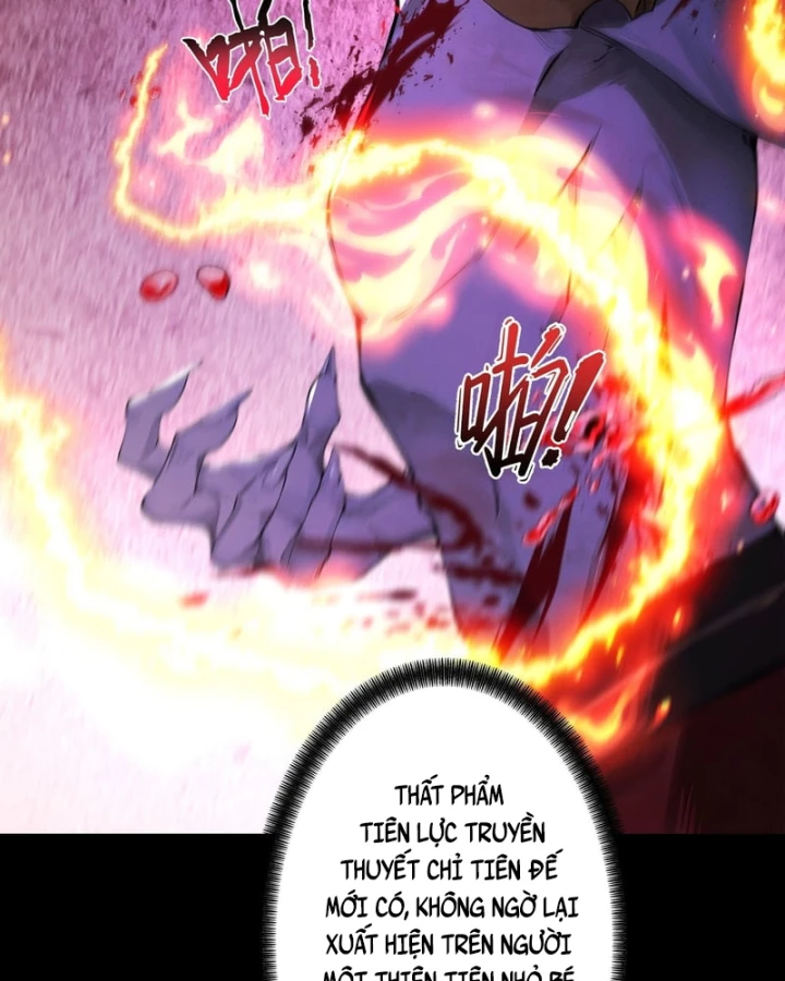 Gặp Mạnh Thì Mạnh, Ta Tu Vi Vô Thượng Hạn Chapter 113 - 12