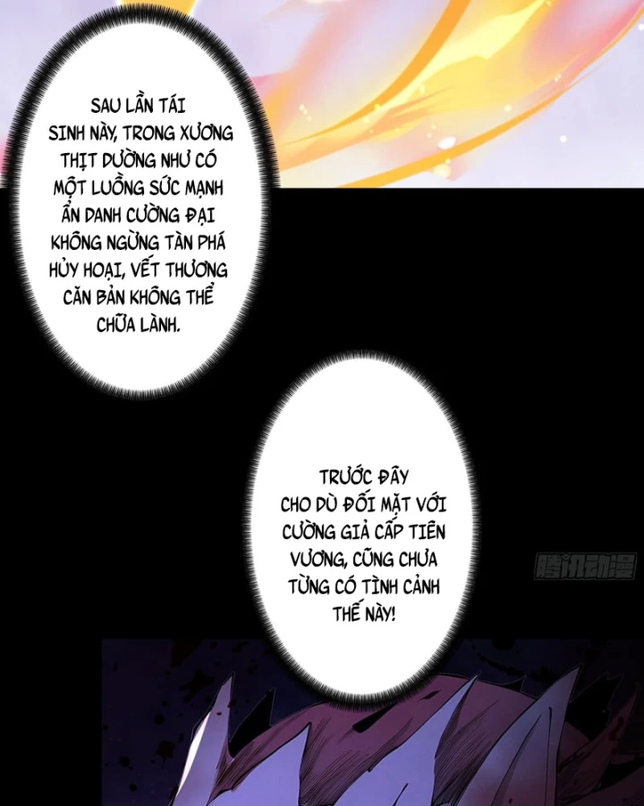 Gặp Mạnh Thì Mạnh, Ta Tu Vi Vô Thượng Hạn Chapter 114 - 11