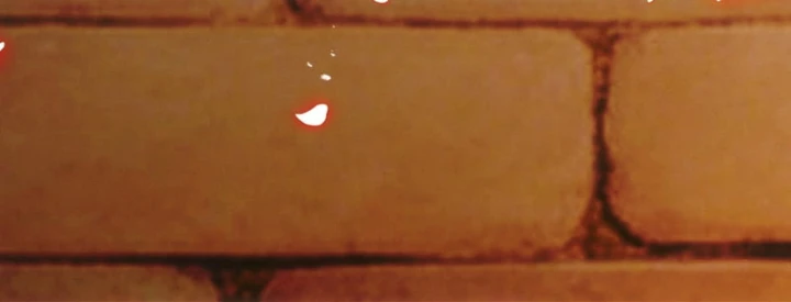 Gặp Mạnh Thì Mạnh, Ta Tu Vi Vô Thượng Hạn Chapter 117 - 106