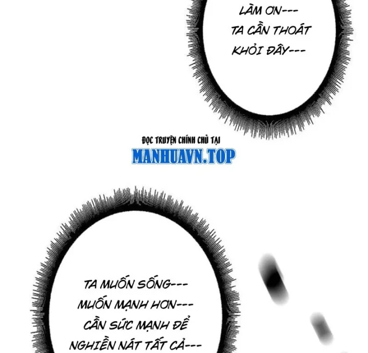 Trở Thành Anh Hùng Mạnh Nhất Nhờ Gian Lận Chapter 100 - 262