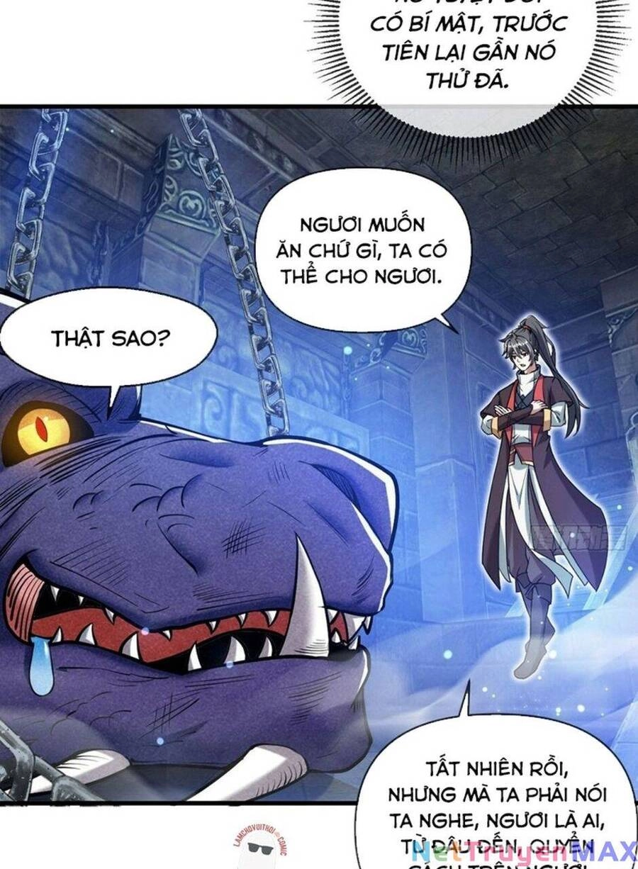 Thần Đế Giáng Lâm: Ta Có Trăm Triệu Điểm Thuộc Tính Chapter 40 - 14