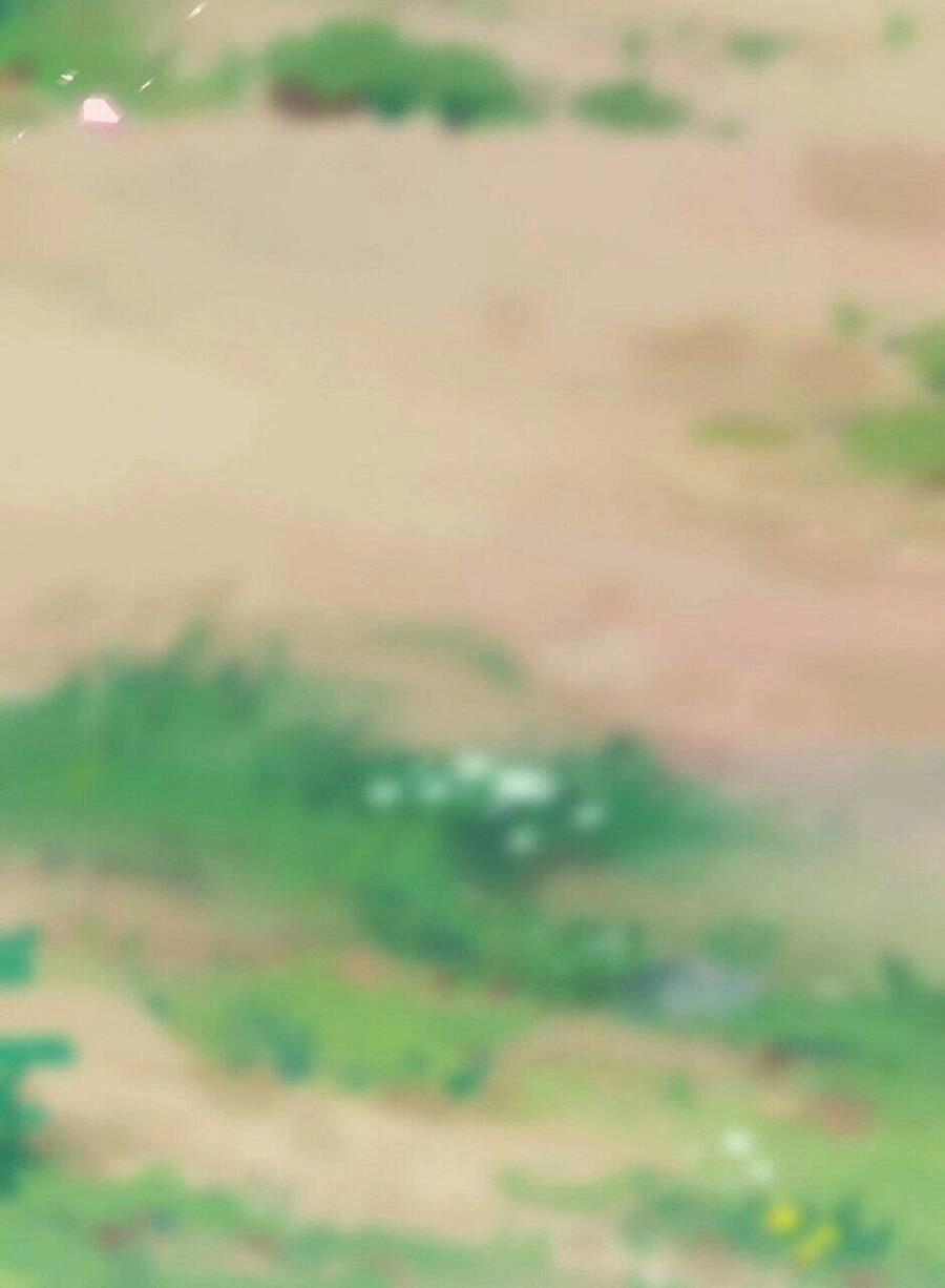 Thần Đế Giáng Lâm: Ta Có Trăm Triệu Điểm Thuộc Tính Chapter 53 - 80