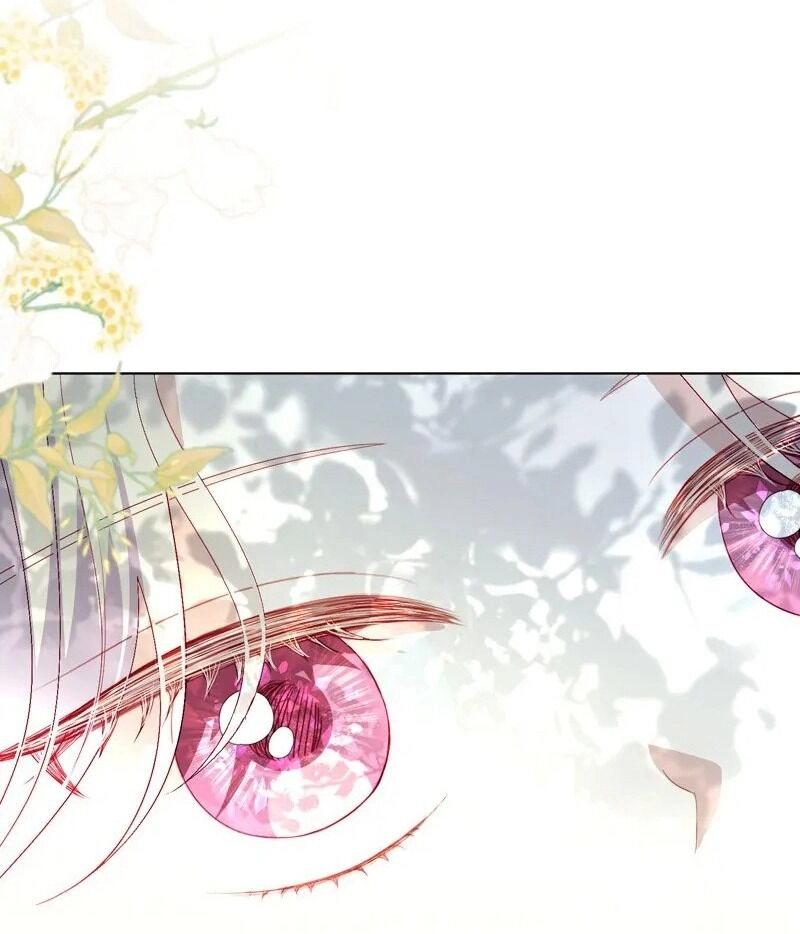 Một Ngày Nọ Cha Bỗng Dưng Xuất Hiện Chapter 47 - 75