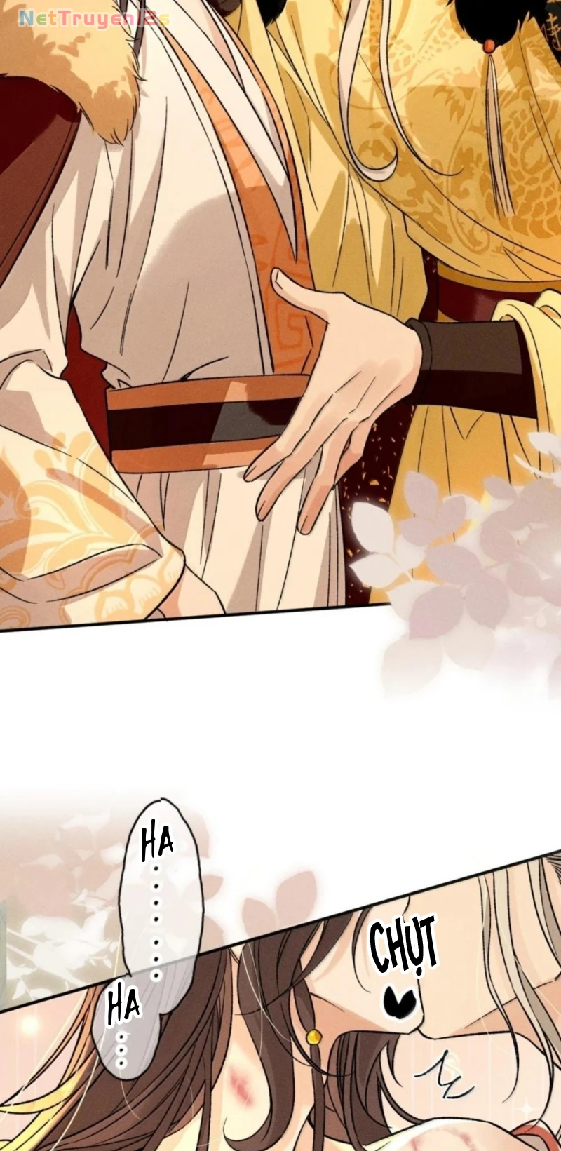 Hải Vương Sau Khi Hoàn Lương Sa Vào Tu La Tràng Chapter 56 - 42