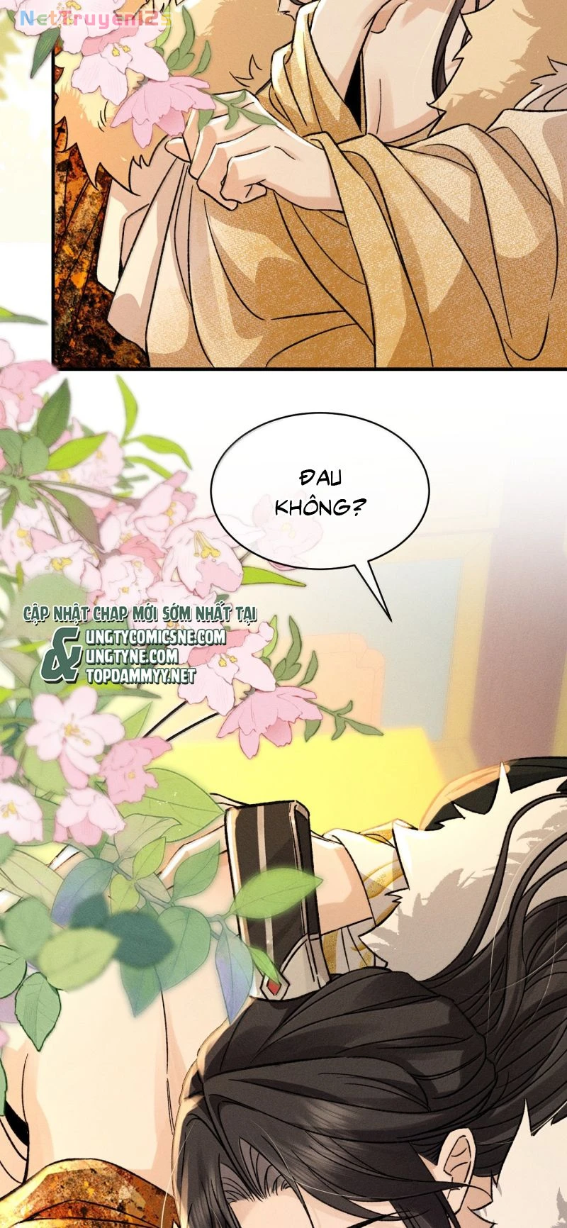 Hải Vương Sau Khi Hoàn Lương Sa Vào Tu La Tràng Chapter 67 - 9