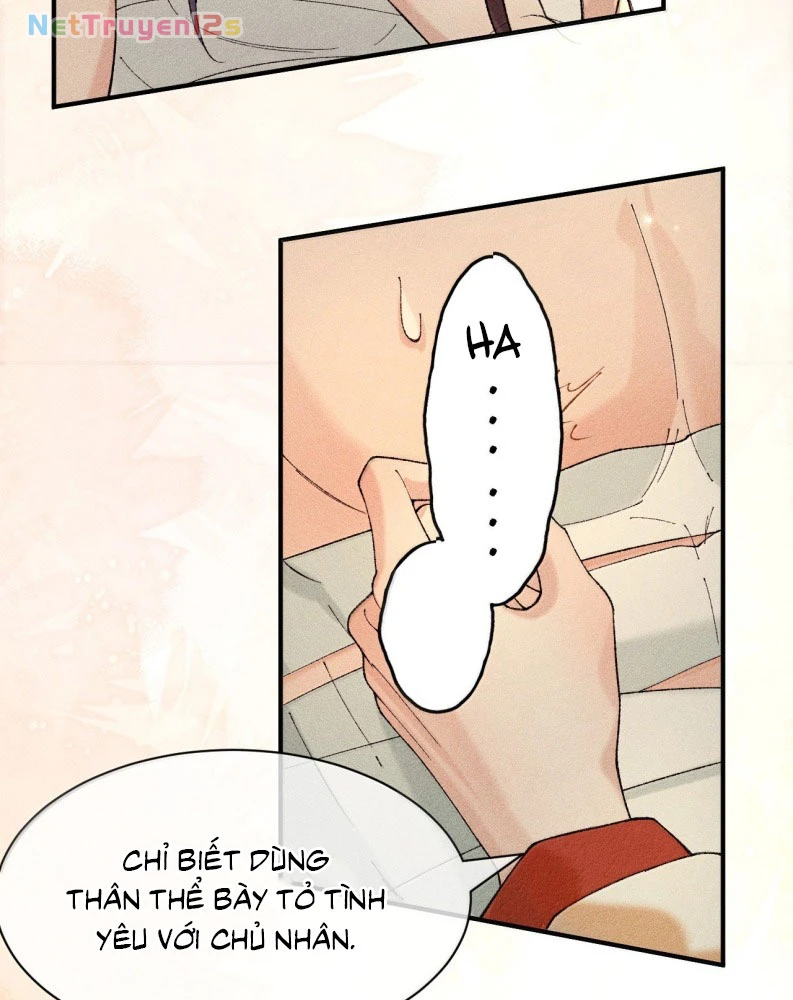 Hải Vương Sau Khi Hoàn Lương Sa Vào Tu La Tràng Chapter 16 - 30