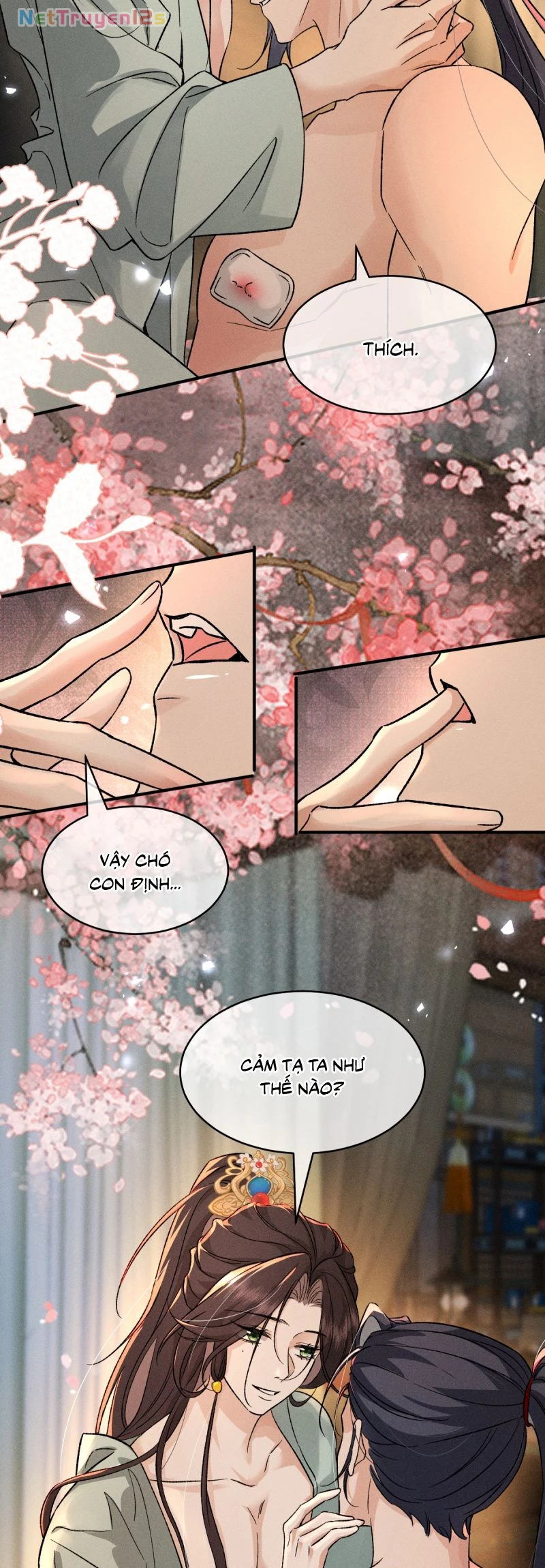 Hải Vương Sau Khi Hoàn Lương Sa Vào Tu La Tràng Chapter 47 - 12