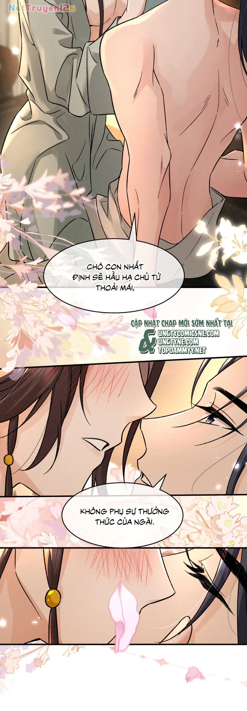 Hải Vương Sau Khi Hoàn Lương Sa Vào Tu La Tràng Chapter 47 - 13