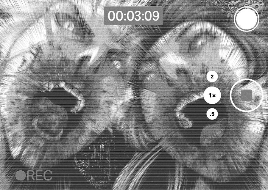 Dora-Q Chapter 29 - 15