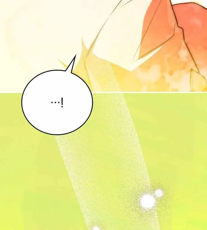 Anh Hùng Huyền Thoại Là Học Viên Danh Dự Của Học Viện Chapter 66 - 147