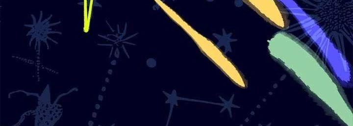 Anh Hùng Huyền Thoại Là Học Viên Danh Dự Của Học Viện Chapter 75 - 288