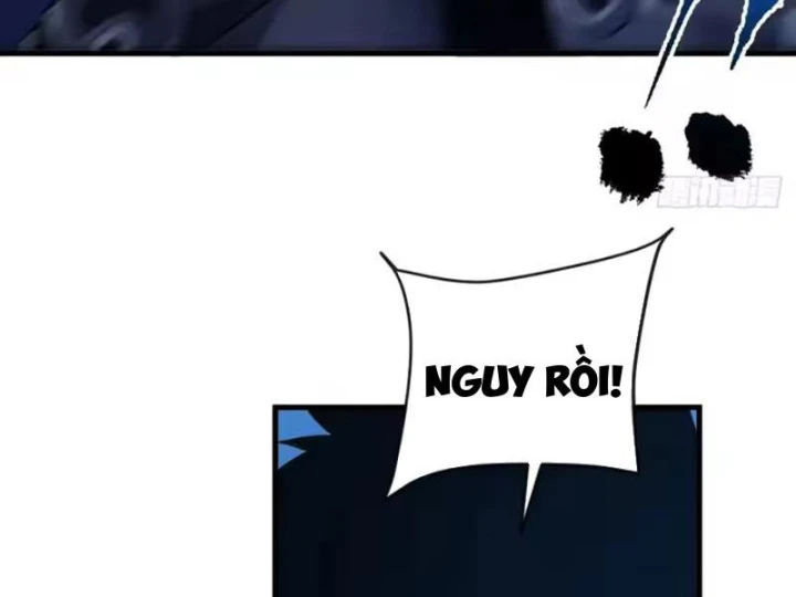 Mệnh Luân Chi Chủ! Khi Dị Biến Giáng Lâm Nhân Gian! Chapter 209 - 13