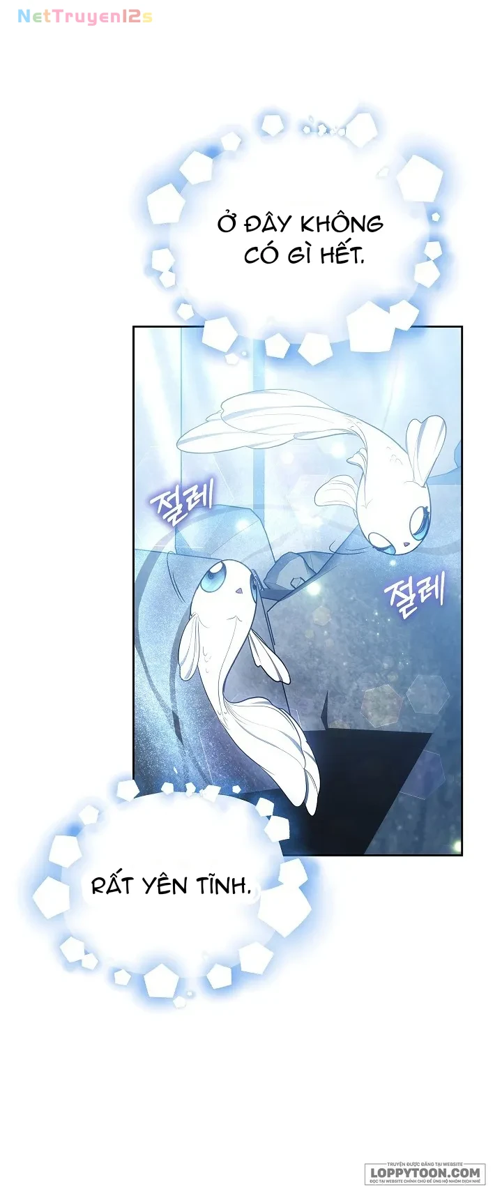 Rồng Con Thuần Hóa Những Kẻ Điên Rồ Chapter 28 - 44