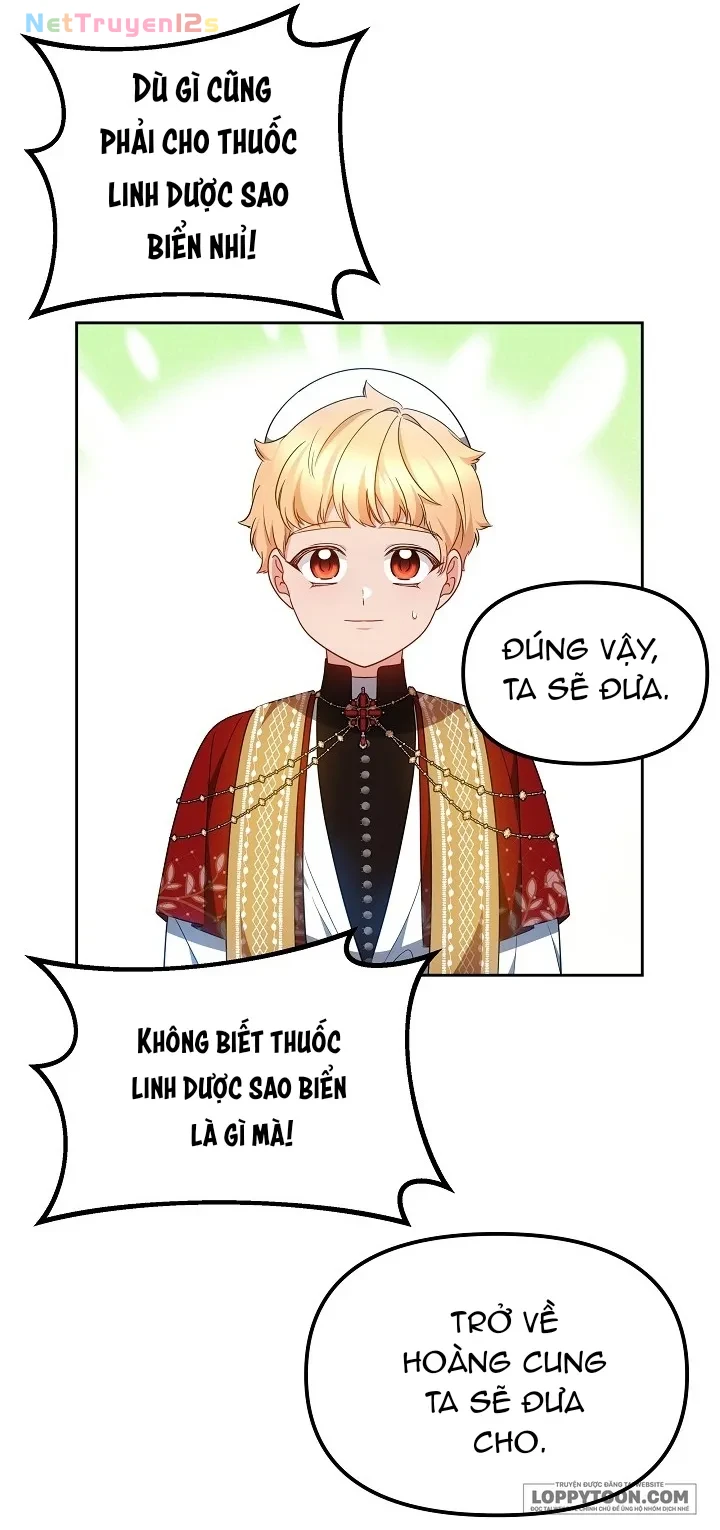 Rồng Con Thuần Hóa Những Kẻ Điên Rồ Chapter 31 - 40