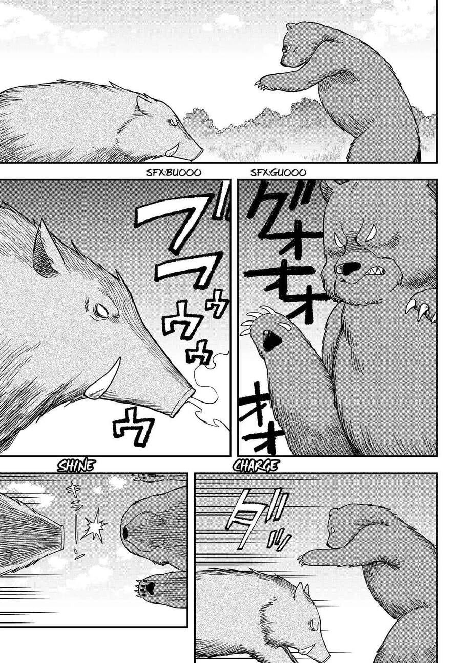 Jitsu Wa Ore, Saikyou Deshita? Chapter 17.5 - 13